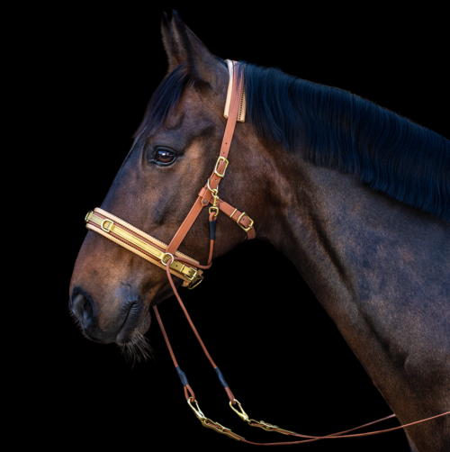 Bitless Bridle Biothane-Riemen