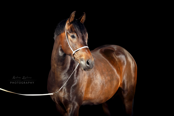 Flicka014