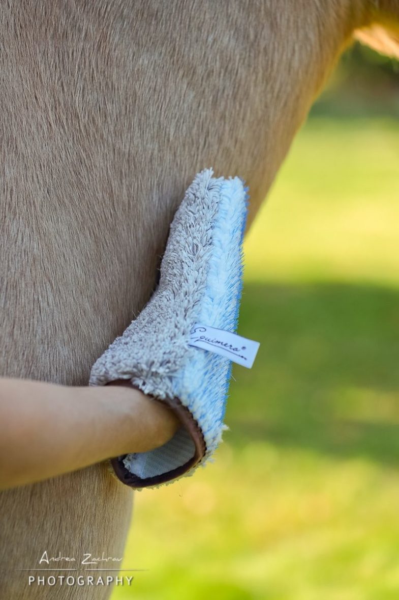 Equimero0920_342