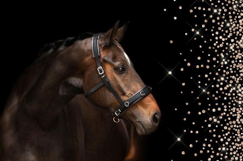 2022-07-20 - _MG_3349-27.1glitter2