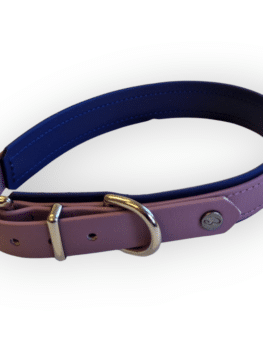 LV Hundehalsband Gr. 3