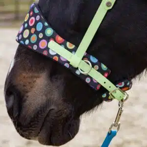 Nasenpolsterset für Equitrensen®