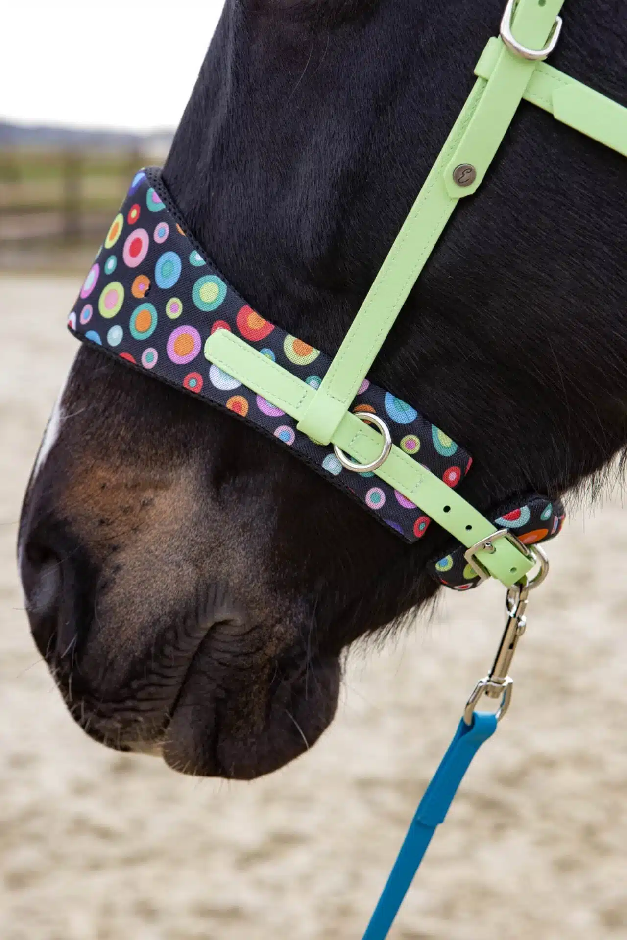 Nasenpolsterset für Equitrensen®