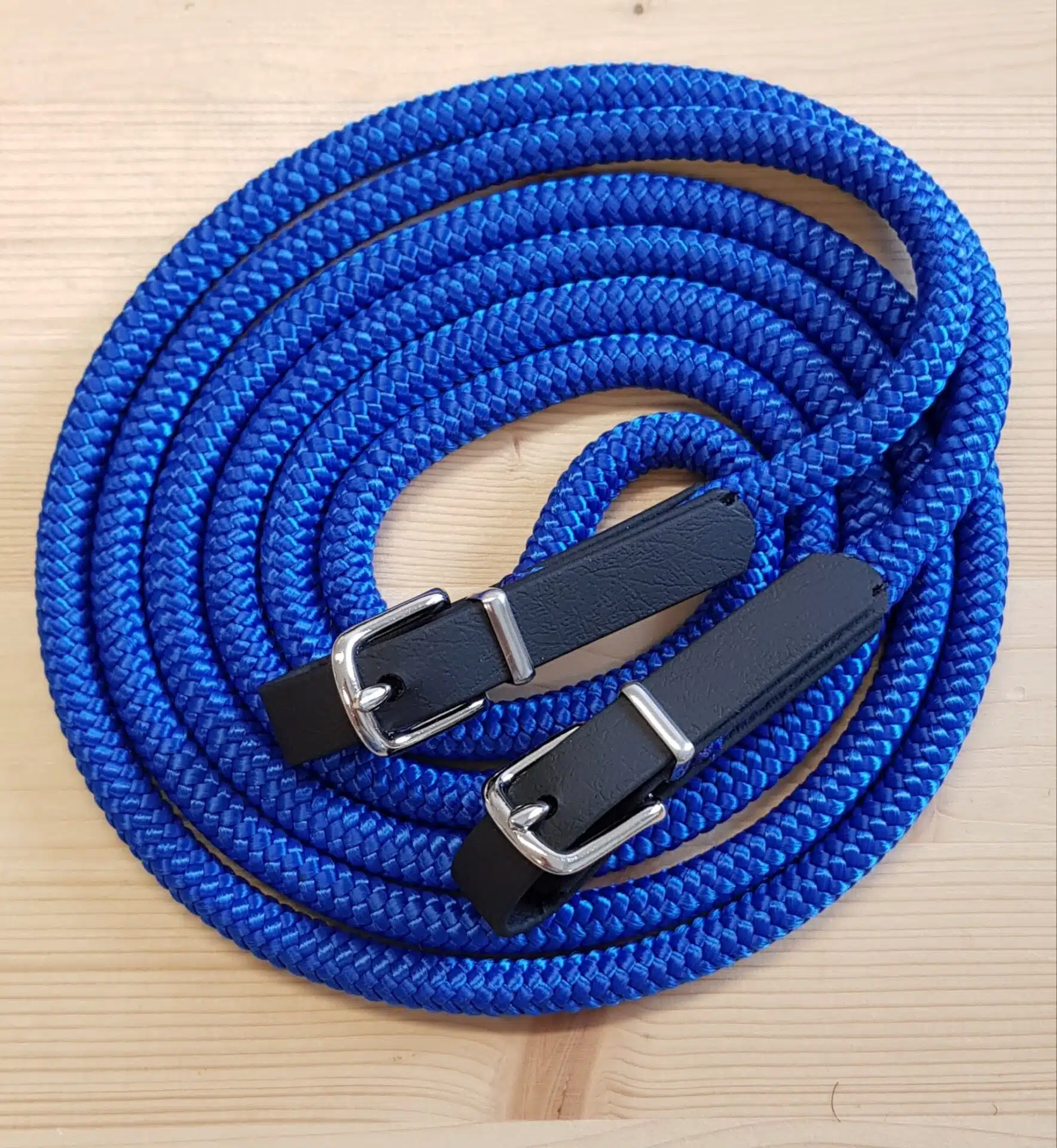 Seilzügel und Langzügel