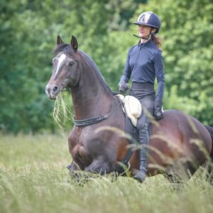 Equizügel® "Mistral"