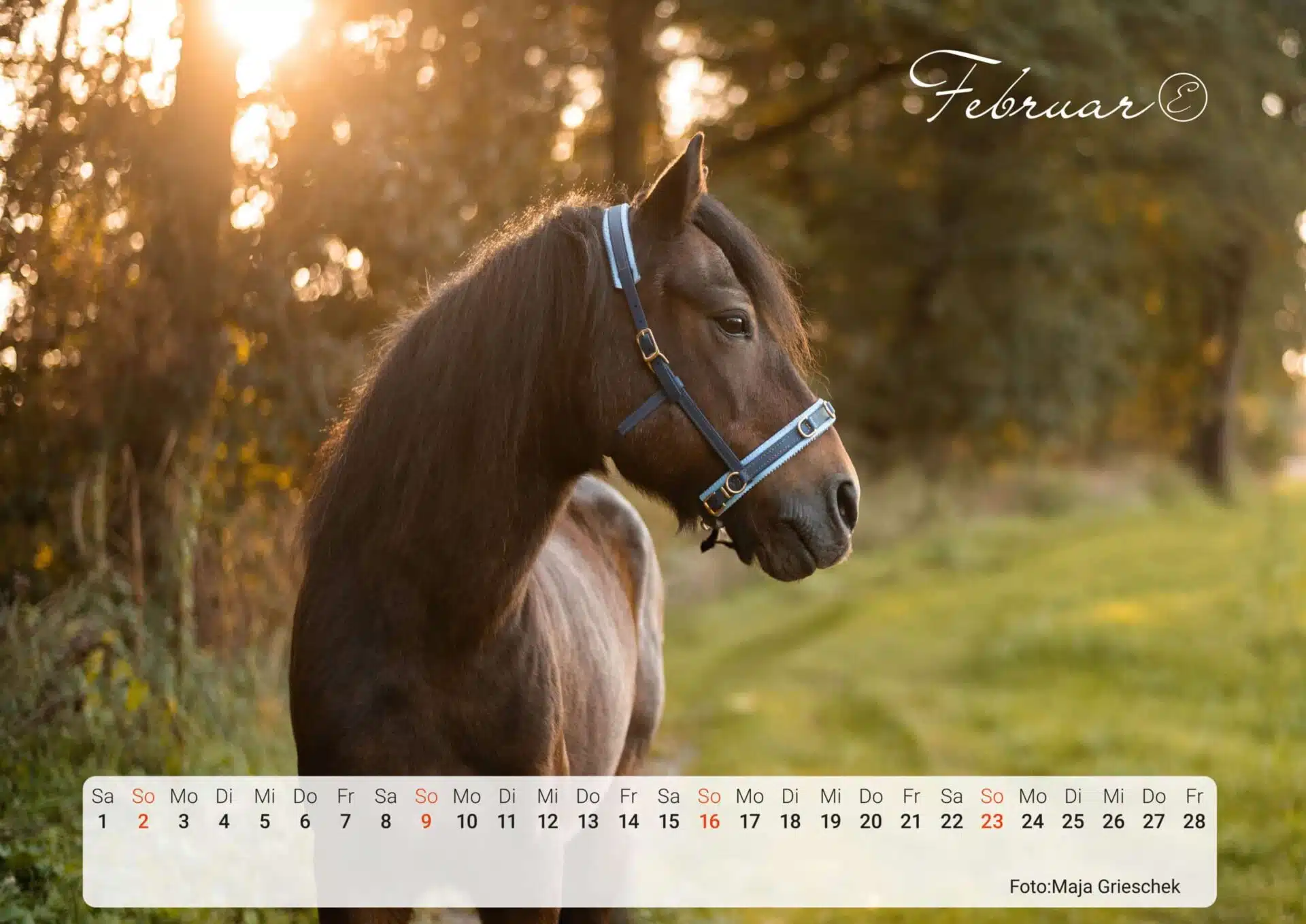 Equimero® Kalender 2025 – Bild 2