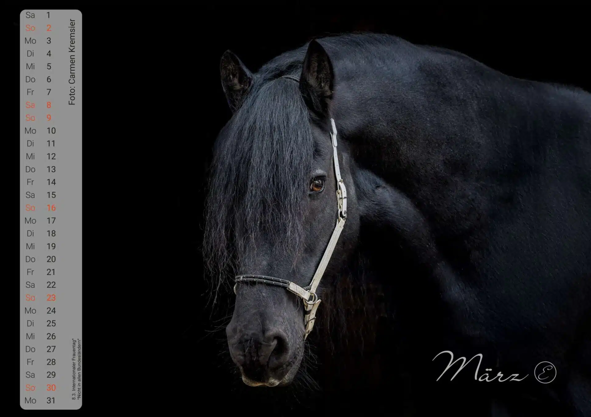 Equimero® Kalender 2025 – Bild 3