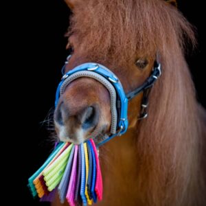 Polster für Equizaum®, Glücksradzaum und Halfter