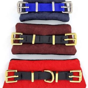 Kinnriemen Equitrense®