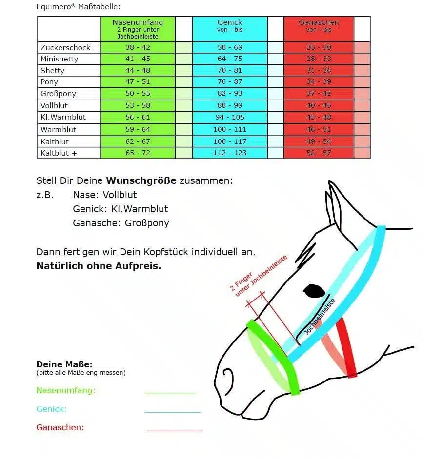 Glücksrad-Zaum (ohne Räder) – Bild 2