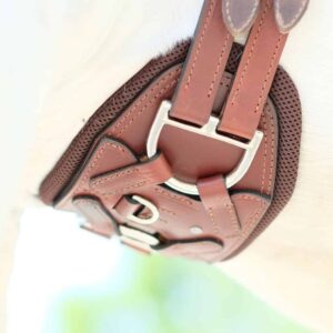 Unser Equigurt® aus Leder