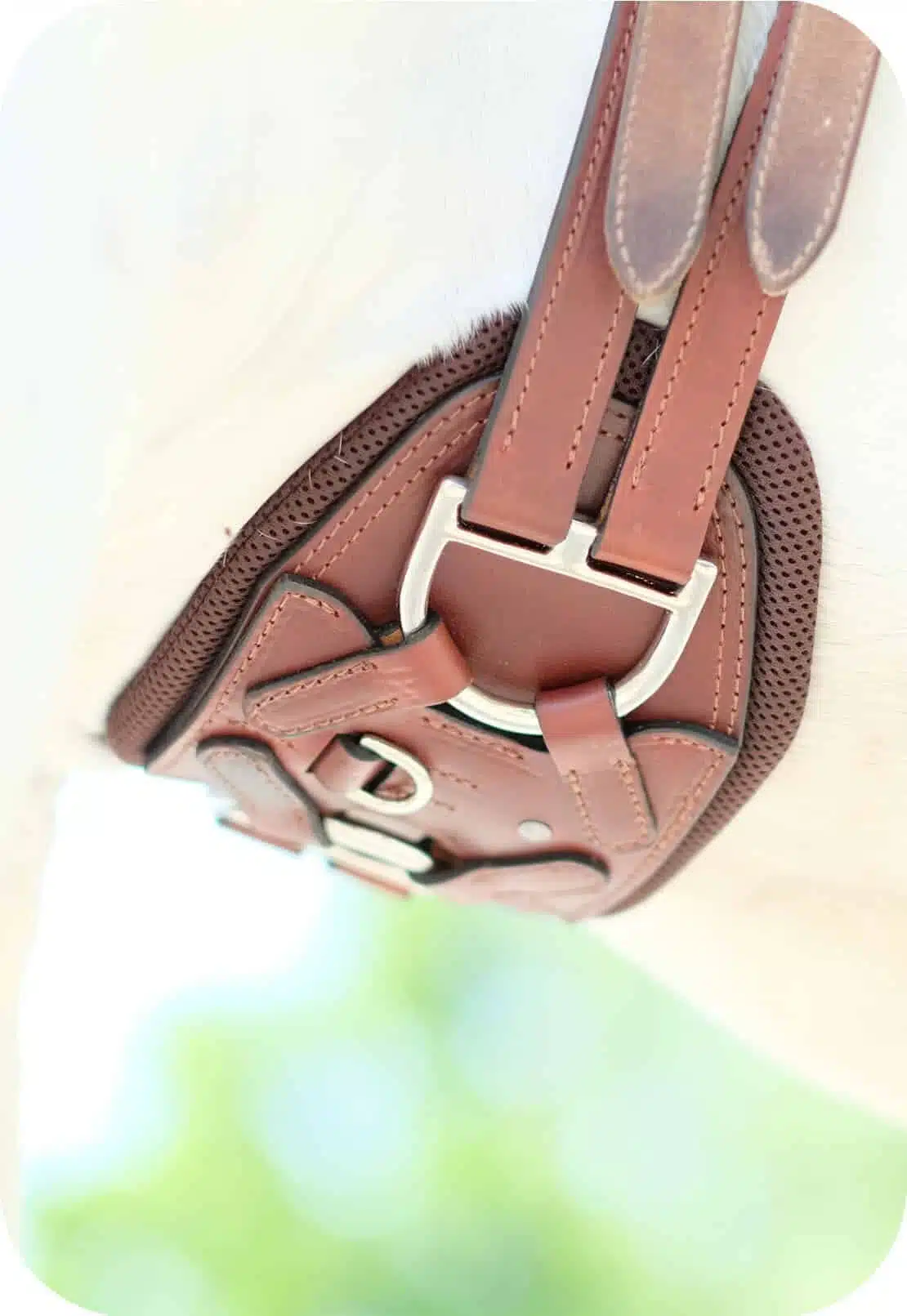 Unser Equigurt® aus Leder