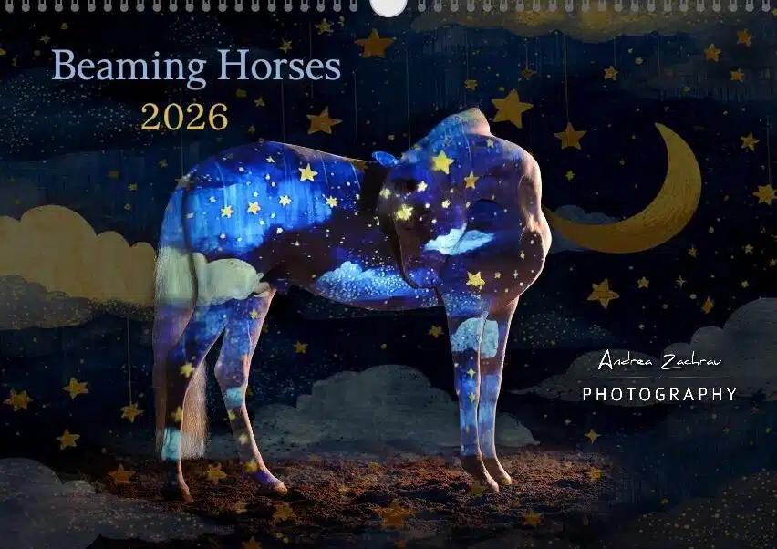 Andrea Zachrau - Kalender "Beaming Horses 2026"