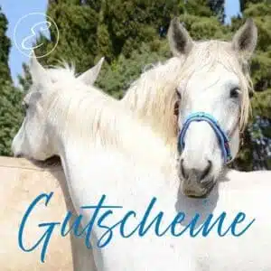 Gutscheine Equimero
