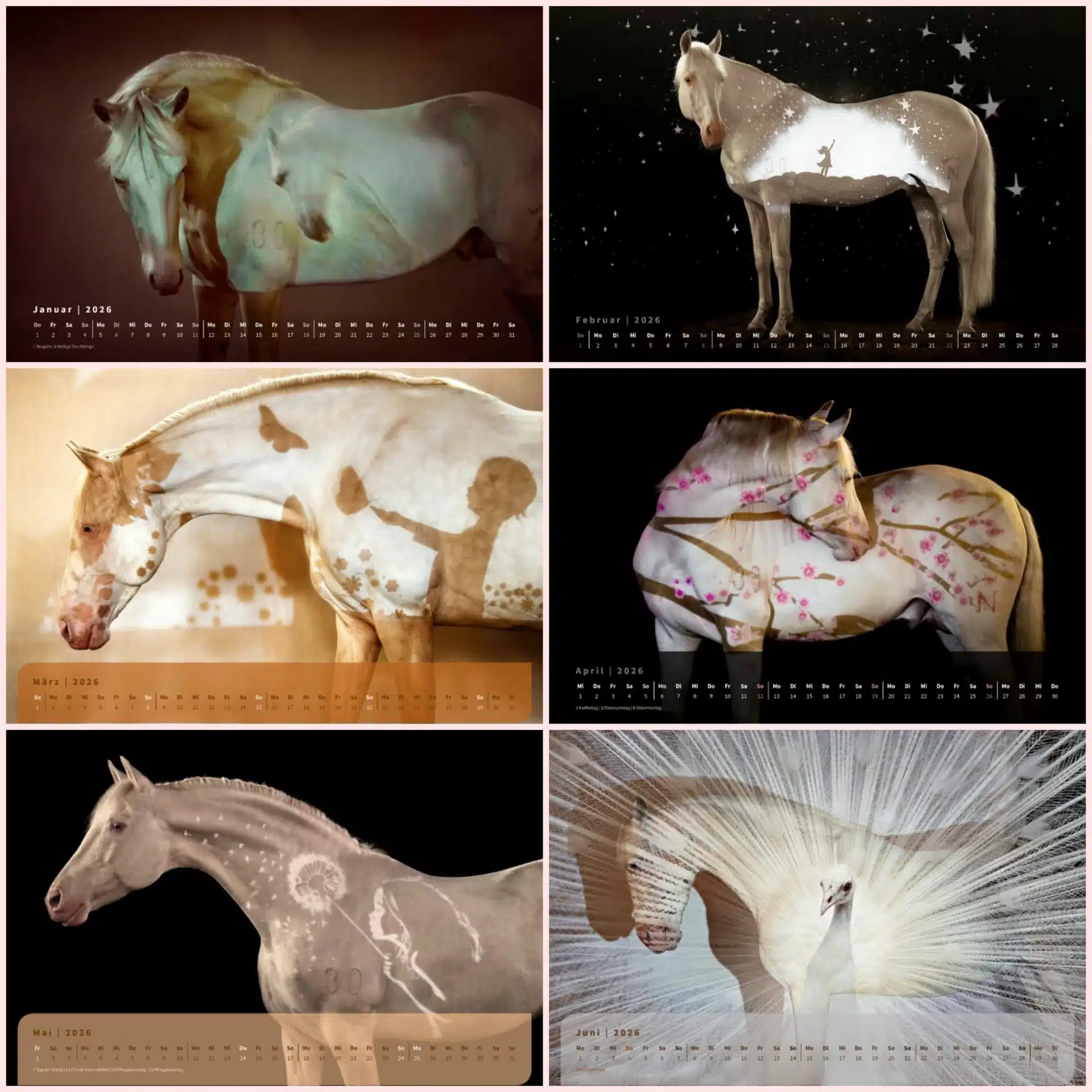 Andrea Zachrau - Kalender "Beaming Horses 2026" – Bild 3
