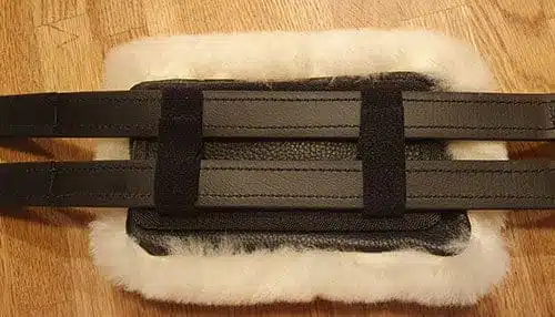 Schoner für den Equigurt® – Bild 2