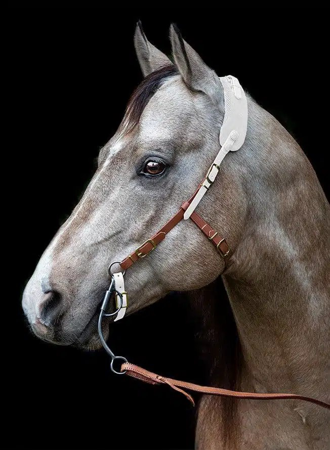 Westerntrense Biothane