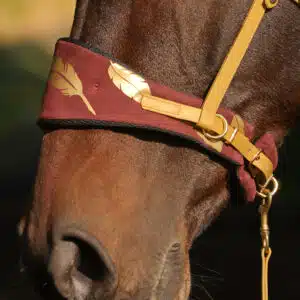 Nasenpolsterset für Equitrensen®