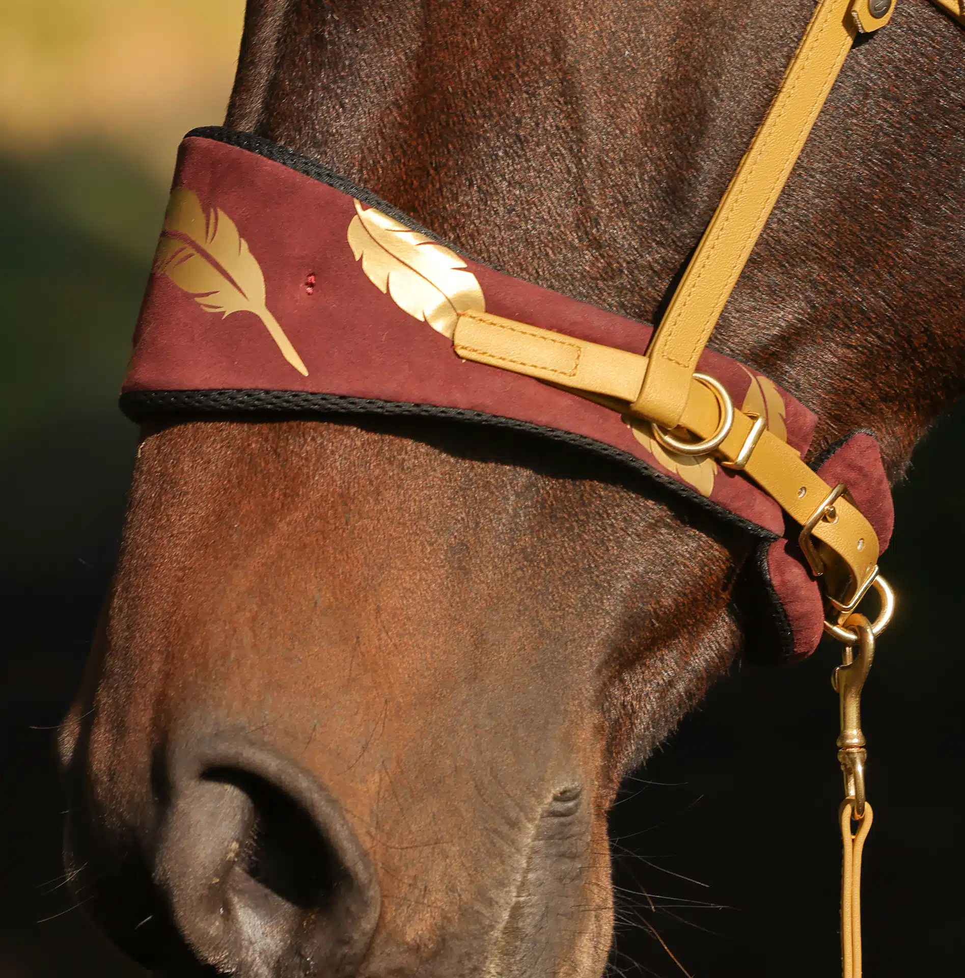 Nasenpolsterset für Equitrensen®