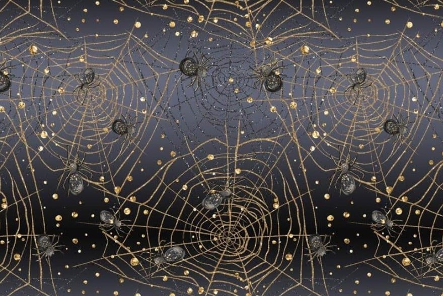 Spider