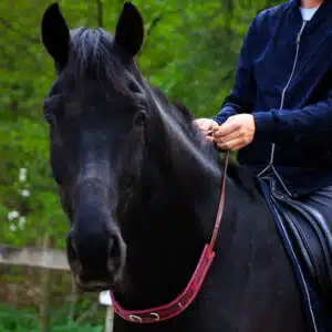 Equizügel® & Equizügel® Mistral