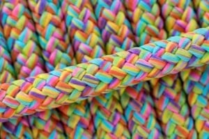 Bunt